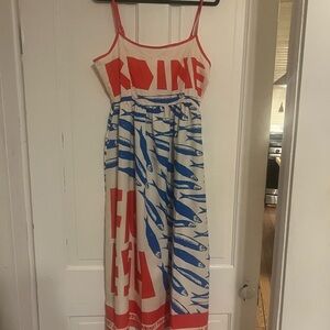 Red and Blue Sardine Graphic Print Dress
